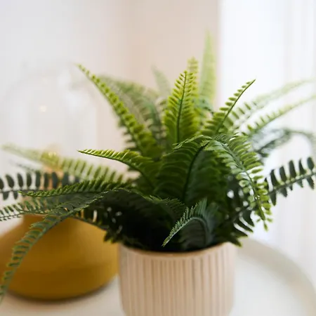 Appartamento Acogedor Apartamento De Dos Dormitorios A 50 Metros Del Mar Y A 5 Minutos Al Aeropuerto Tenerife Sur Los Abrigos